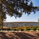 В Калифорнии не хватило деревьев для Apple Park